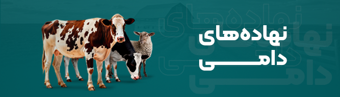 Livestock inputs